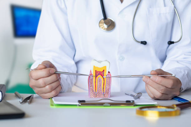 Best Dentist for Dental Trauma  in Rochester Hills, MI